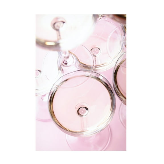 Trademark Fine Art Pictufy Studio Champagne Tower 2 Canvas Wall Art