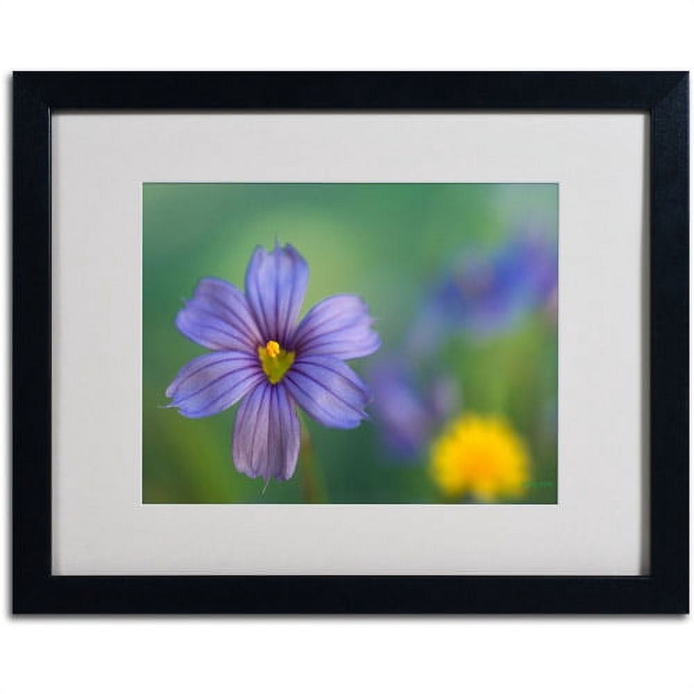 Trademark Fine Art 'Blue Eyed Grass' Matted Framed Art by Kathy Yates