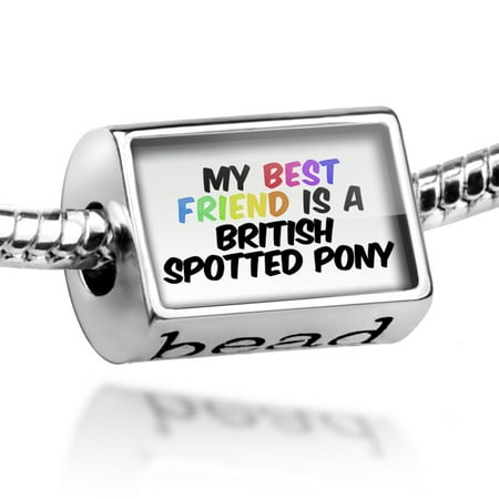 Bead My best Friend a British Spotted Pony, Horse Charm Fits All European (Best Kitesurfing Spots In Europe)