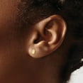 thumbnail image 4 of FJC Finejewelers 14 kt Yellow Gold Button Madi K Shell Post Earrings 5 mm x 5 mm, 4 of 6