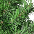 thumbnail image 4 of Northlight 16" Unlit Colorado Spruce 2-Tone Artificial Christmas Wreath, 4 of 7