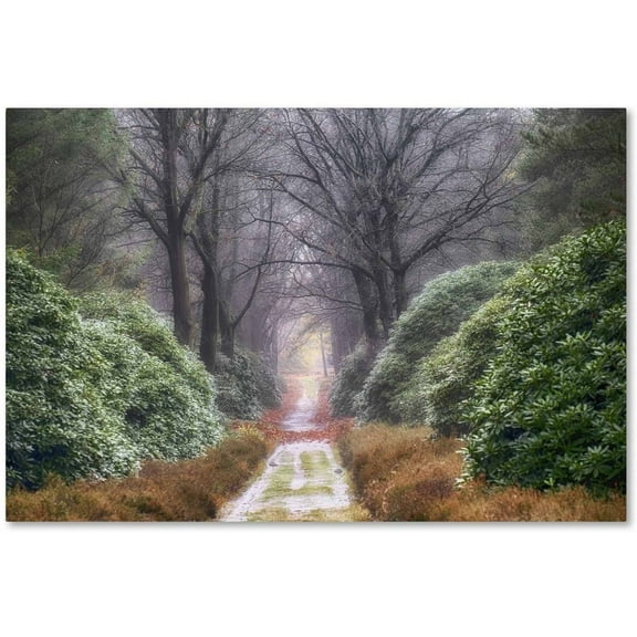 Trademark Fine Art 'Rhododendron Lane' Canvas Art by Cora Niele