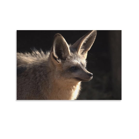 Bat-Eared Fox Cute Animal Room Aesthetic Poster Print Art Wall Painting Canvas Posters Gifts Modern Bedroom Decor 12x18inch(30x45cm)