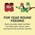 thumbnail image 6 of C & S Products EZ Fill Suet Basket - Hanging Green Bird Feeder - Outdoor Use, 6 of 6