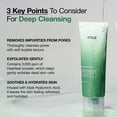 ANUA Heartleaf Quercetinol Pore Deep Cleansing Foam, Facial Cleanser ...