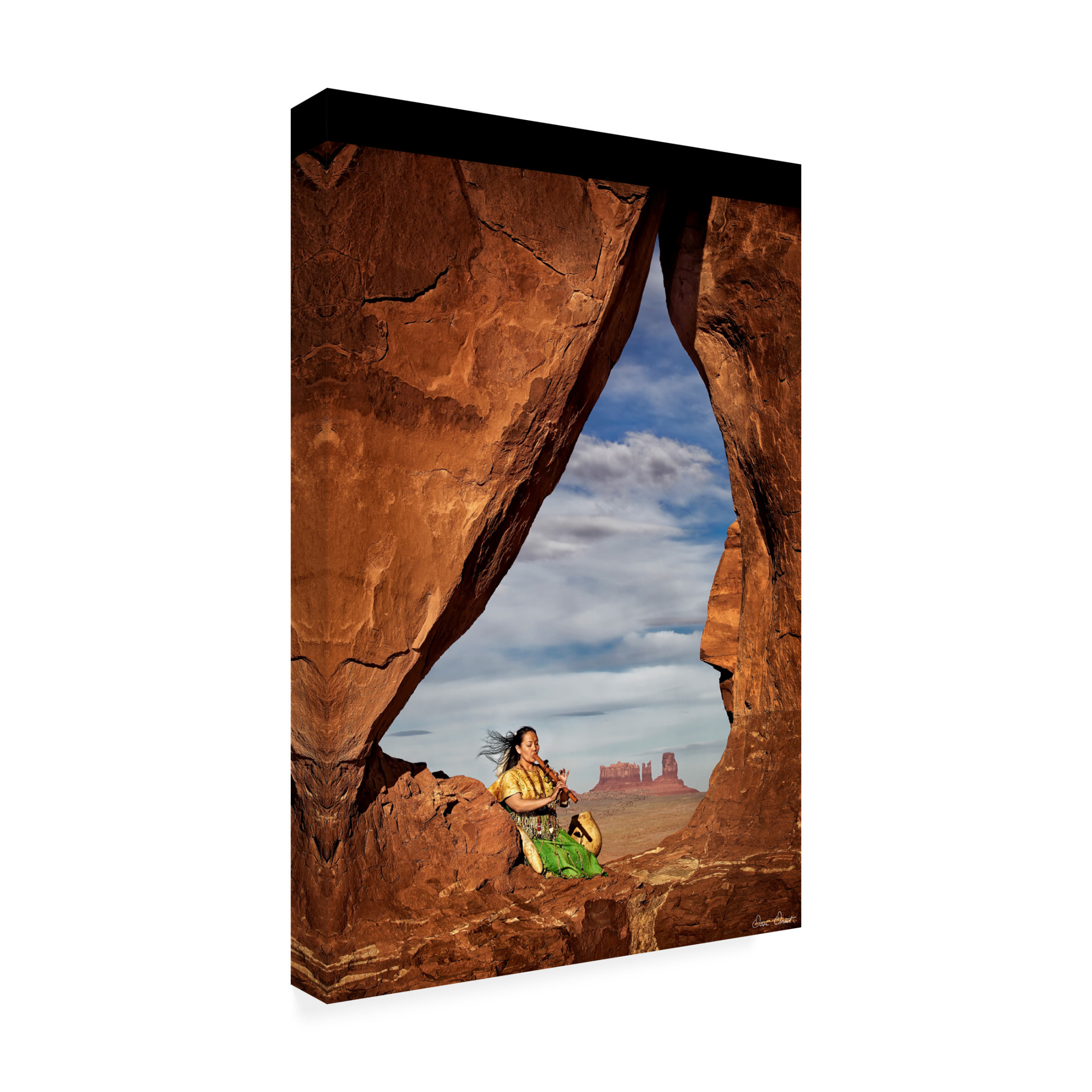 Trademark Fine Art David Drost Nature's Melody I Canvas Wall Art