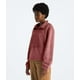 thumbnail image 3 of Chaqueta THE NORTH FACE Novelty Osito Canyon Dust para mujer XS, 3 of 5