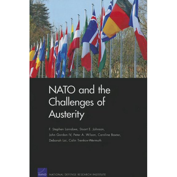 NATO and the Challenges of Austerity (Paperback)