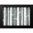 thumbnail image 2 of Fowler, Ryan 18x13 Black Modern Framed Museum Art Print Titled - Birches Winter Woods I Neutral, 2 of 5