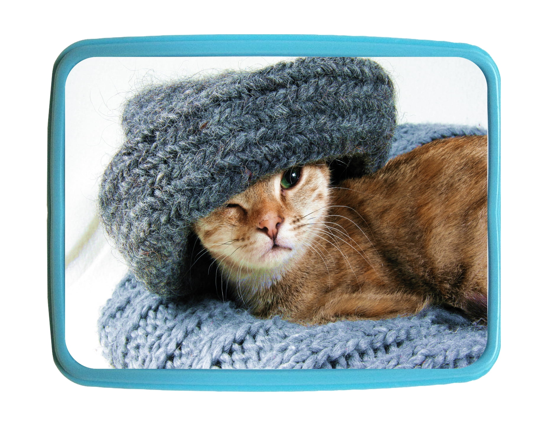 Cat Kitten Yarn Kids Bento Lunch Box With 3 Compartment Food Container cat-kitten-yarn-kids-bento-lunch-box-with-3-compartment-food-container