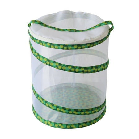 Round Butterfly Grasshopper Silkworm Firefly and Insect Habitat Cage Mesh Terrarium Pop-up - White Net with Green Edge M