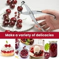 thumbnail image 6 of Qiangzon Heavy Duty Cherry Pitter Tool, All Metal Construction for Pitting Cherries and Olives, Easy to Use and Clean, Dishwasher Safe for Kitchen Kitchen Cherry Pitting Tool *1, 6 of 9