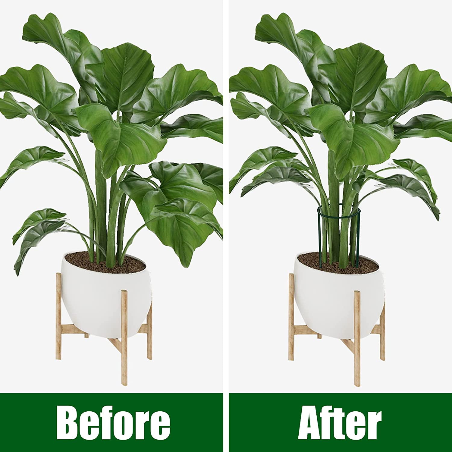 6 Pack Plant Support Stakes, Peony Cages and Supports, Metal Garden Plant Stake(10" Wide x 16" High) Green Half Round Plant Support Rings for Outdoor Indoor Plants, Tomato, Hydrangea