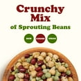 thumbnail image 4 of Food To Live Crunchy Mix of Sprouting Beans, 5 Pounds - Sproutable, Raw, Vegan, 4 of 8