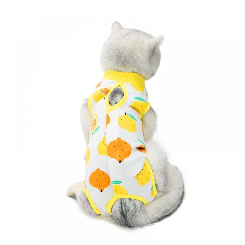FYCONE Cat Recovery Suit, ECollar Alternative for Surgical Abdominal