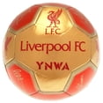 thumbnail image 1 of Liverpool FC Signature 26 Panel Football, 1 of 3