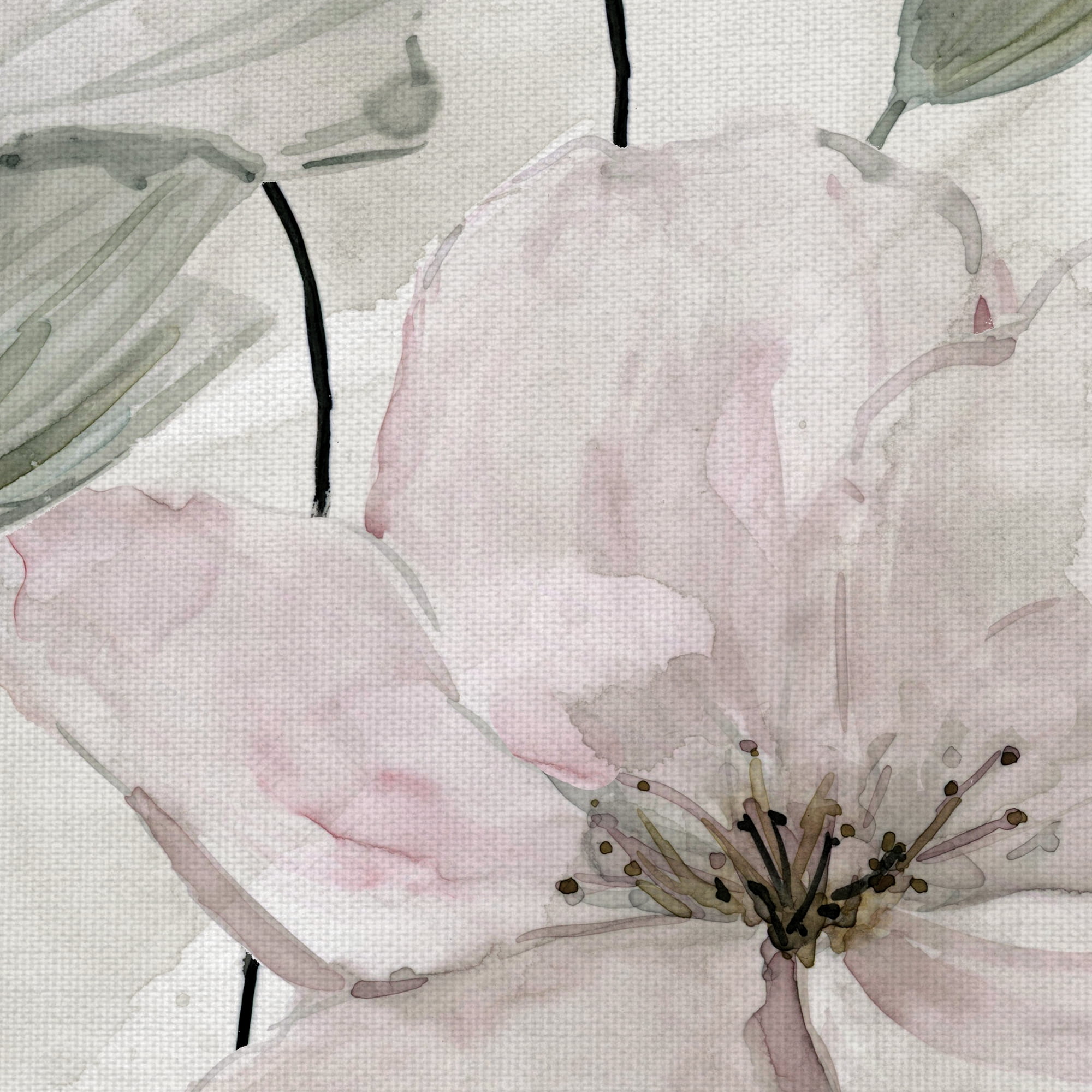 Fine Art Canvas Garden Grays Detail II Anemones by Carol Robinson Canvas Art Print