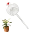 thumbnail image 2 of Bulbos de autorriego, globos de riego para calabazas con tapón, inserto para maceta, picos de riego automáticos para plantas de interior y exterior., 2 of 8