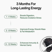 Kapiva Pure Himalayan Shilajit Gummies – 500 mg | 60 Gummies | 30 Days Supply | Up to 70% Fulvic Acid | With 80+ Minerals for Daily Vitality & Wellness | Ginger Honey Flavour