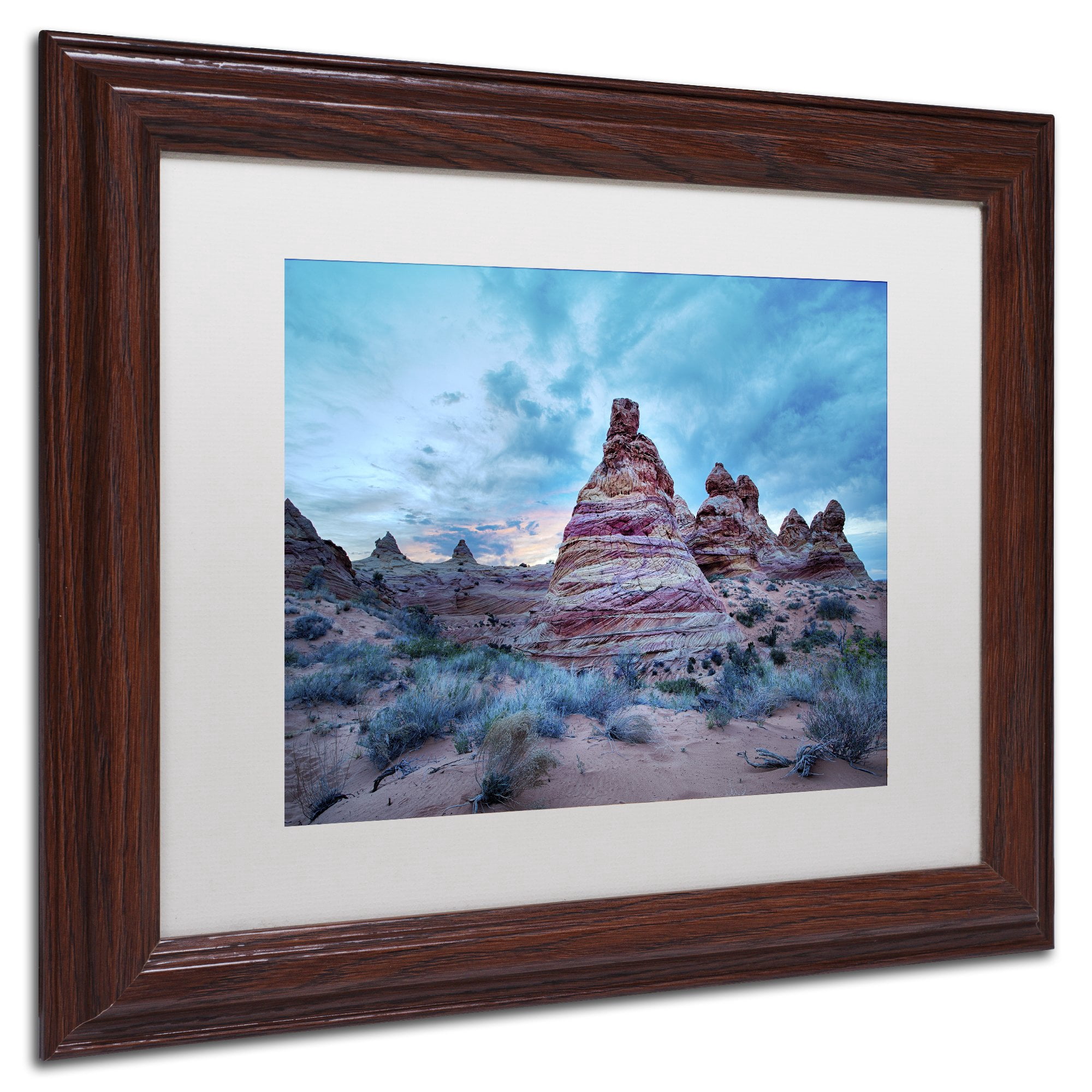 Trademark Fine Art "Cottonwood I" Canvas Art by Moises Levy White Matte, Wood Frame