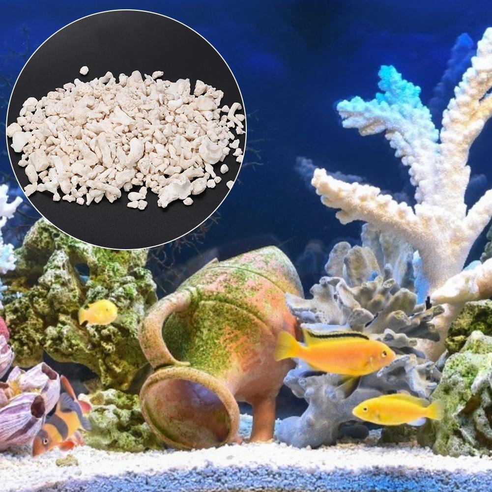 Spptty Coral Bone Sand,Coral Bone Sand Filtration Medium Biological
