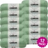 Caron Simply Soft Solids Yarn 12/Pk-Sage