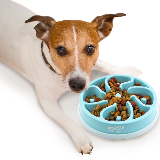 Slow Feed Dog Bowl Slowly Bowly by 2PET. Fun Interactive Dog Dish for