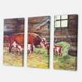 thumbnail image 3 of Designart ' Newborn Twin Calves With Cow At The Farm ' Farmhouse Canvas Wall Art Print, 3 of 3