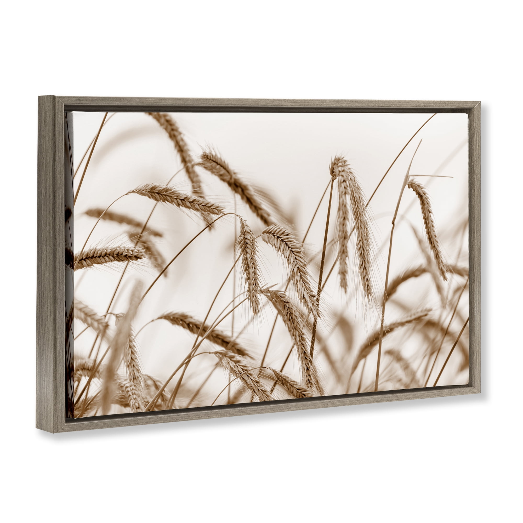 Stupell Industries Windswept Wheat Sprigs Plants & Flowers Photography Brown Floater Framed Canvas Art Print Wall Art, 25 x 17