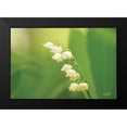 thumbnail image 2 of Podt, Martin 14x11 Black Modern Framed Museum Art Print Titled - Lily of the Valley, 2 of 5