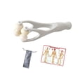 thumbnail image 4 of TISHITA Finger Massager Roller Hand Massage Roller Tools for Hands Palm Muscle Relax Gray, 4 of 8