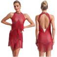 thumbnail image 1 of Alvivi Robe de Danse Latine Sans Manches à Paillettes pour Femmes avec Franges Chacha Salsa Rumba Tango Valse pour Danse de Salon Bourgogne P, 1 of 7