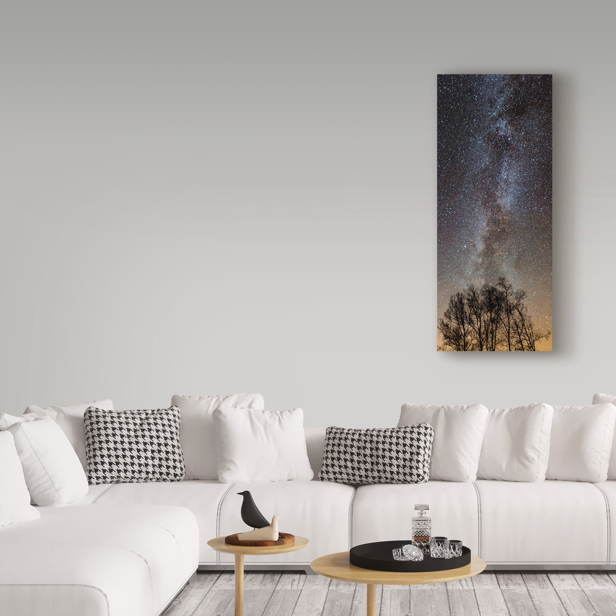 Trademark Fine Art 'Touching The Stars' Canvas Art by Brenda Petrella Photography Llc