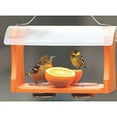 thumbnail image 2 of Birds Choice 2-Cup Nectar and Jelly Oriole Feeder, Orange, 2 of 16