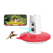 Birdfy Humming Bird Feeder with Camera, 1080P FHD Hummingbird Feeder Camera with Ant Moat, AI Identify Bird Species, Ideal Gift