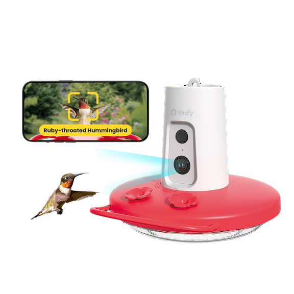 Birdfy Humming Bird Feeder with Camera, 1080P FHD Hummingbird Feeder Camera with Ant Moat, AI Identify Bird Species, Ideal Gift