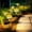Daffodil Flower - Yellow, variant on Dmlowu Solar Lights Outdoor, Hydrangea Artificial Flowers Solar Lights with LED, Outdoor Decor for Lawn Pathway Patio, Blue 25.6 inches