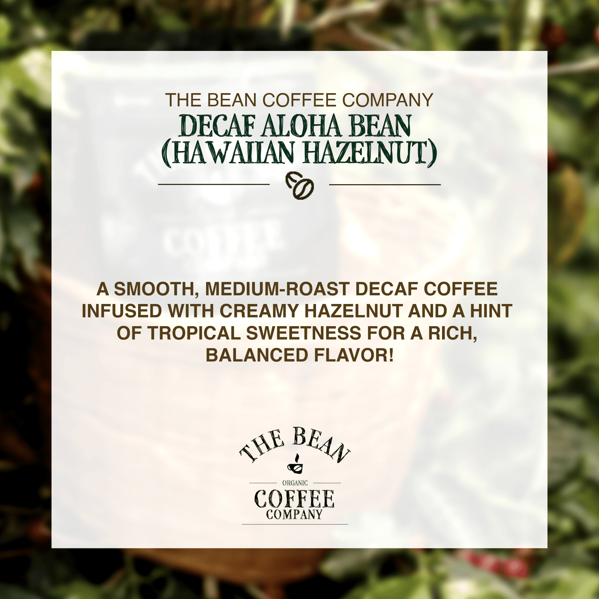 The Bean Organic Coffee Company Water Processed DECAF Aloha Bean (Hawaiian Hazelnut), Medium Roast, Ground Coffee, 16-Ounce Bags (Pack of 2)