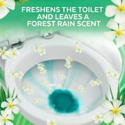 Lysol Cleaning and Disinfecting Toilet Bowl Cleaner Gel, Stain Removal, Forest Rain Scent, 24oz