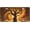 Orange, variant on Vanity Plate Cover with Sunset Flowers Beach Design, Novelty Car Tag, Aluminum Metal, 4-Hole, 6 x 12 Inch, Rust-Proof