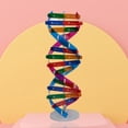 thumbnail image 3 of Trayknick DNA Models Double Helix Structure Teaching Toy ABS Double Helix DIY Human Genes for Biological Science, 3 of 13