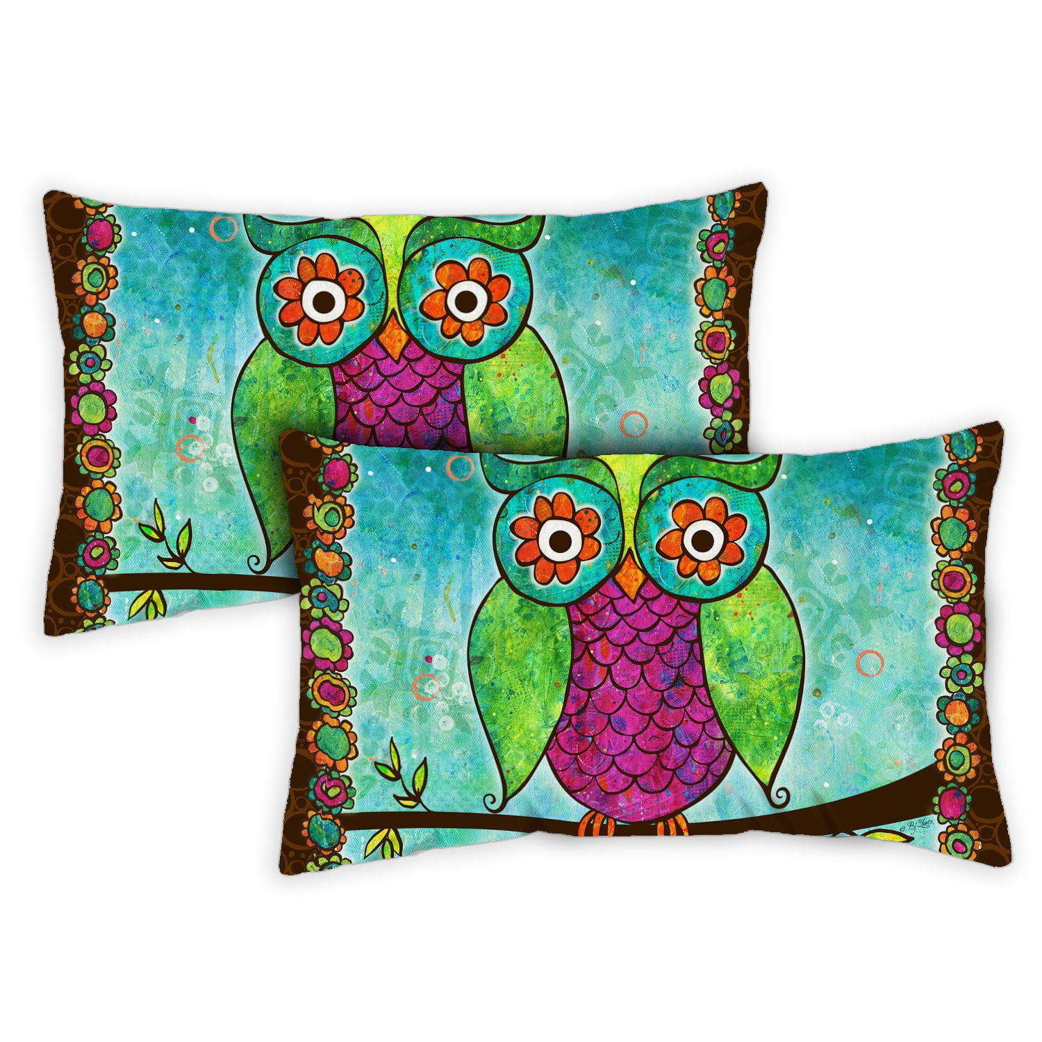 Toland Rainbow Owl 12 x 19 Inch Indoor Pillow Case 2-Pack 