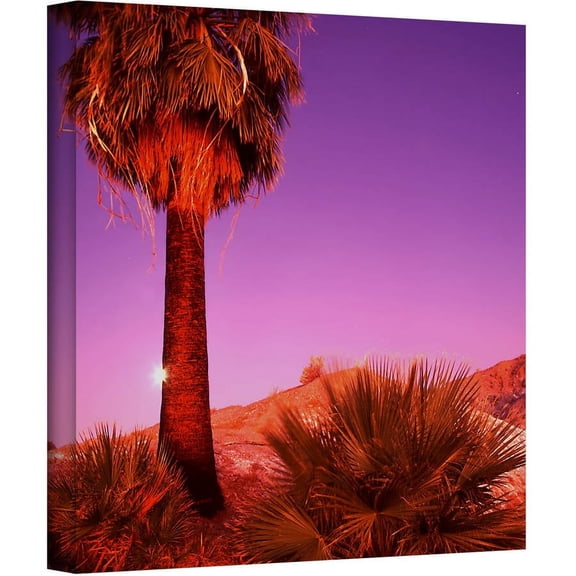 Dean Uhlinger 'Desert Moon ' Gallery-wrapped Canvas