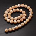 thumbnail image 2 of 2Strand Natural Sea Shell Beads Strands Round Light Salmon 10mm Hole: 1mm about 40pcs/strand 15.75 inch, 2 of 3