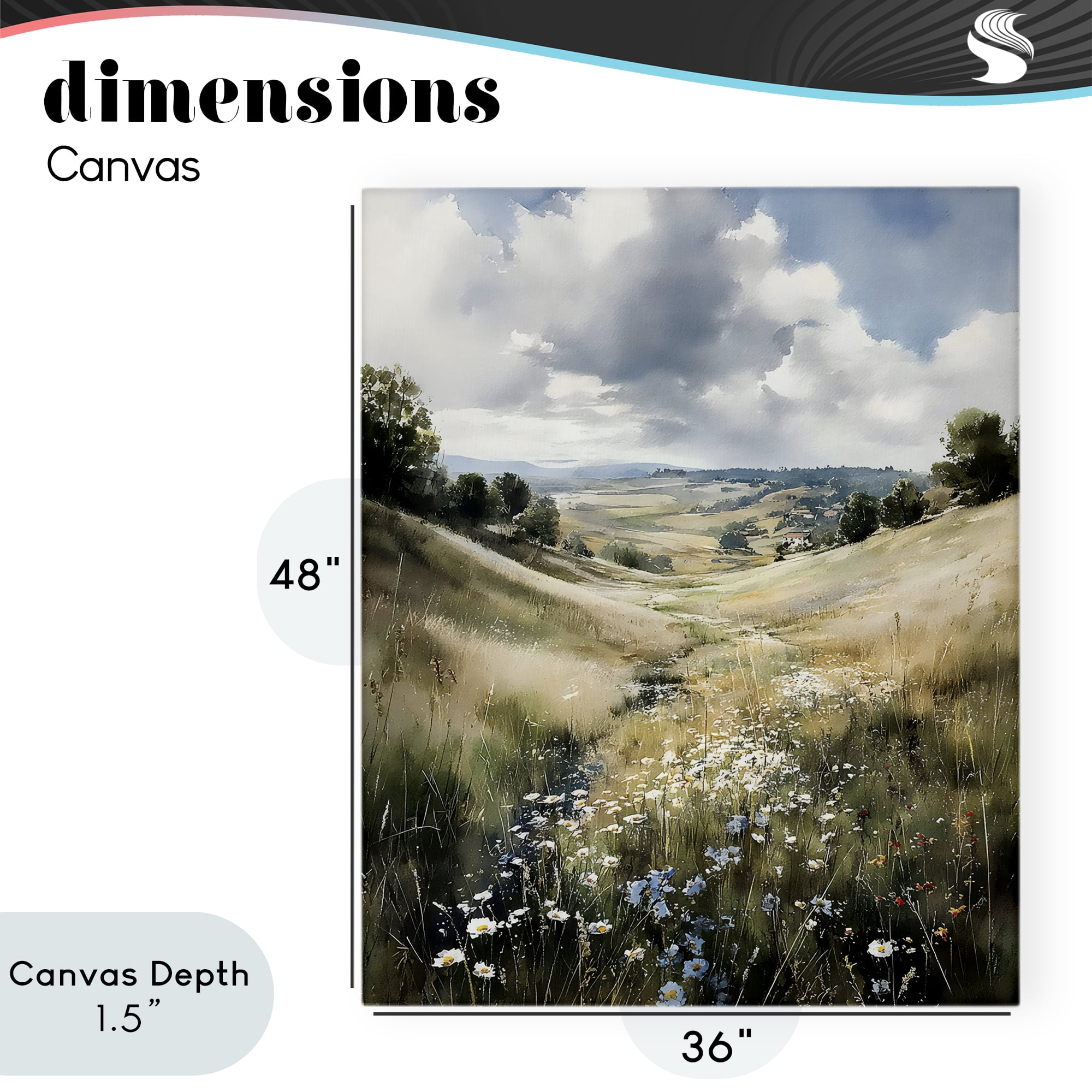 Stupell Industries Floral Valley of Wild Daisies Canvas Wall Art, design by Franklyn Gregory