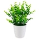 thumbnail image 1 of Planta en maceta de imitación, Mini planta decorativa de bonsái Artificial, eucalipto falso en maceta, 1 of 8
