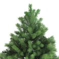 thumbnail image 3 of Northlight Real Touch™️ Full Noble Fir Artificial Christmas Tree - Unlit - 7.5', 3 of 8