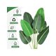 thumbnail image 5 of Bird of paradise artificial plant: tropical decoration suitable para indoor y oficina spaces, 5 of 10