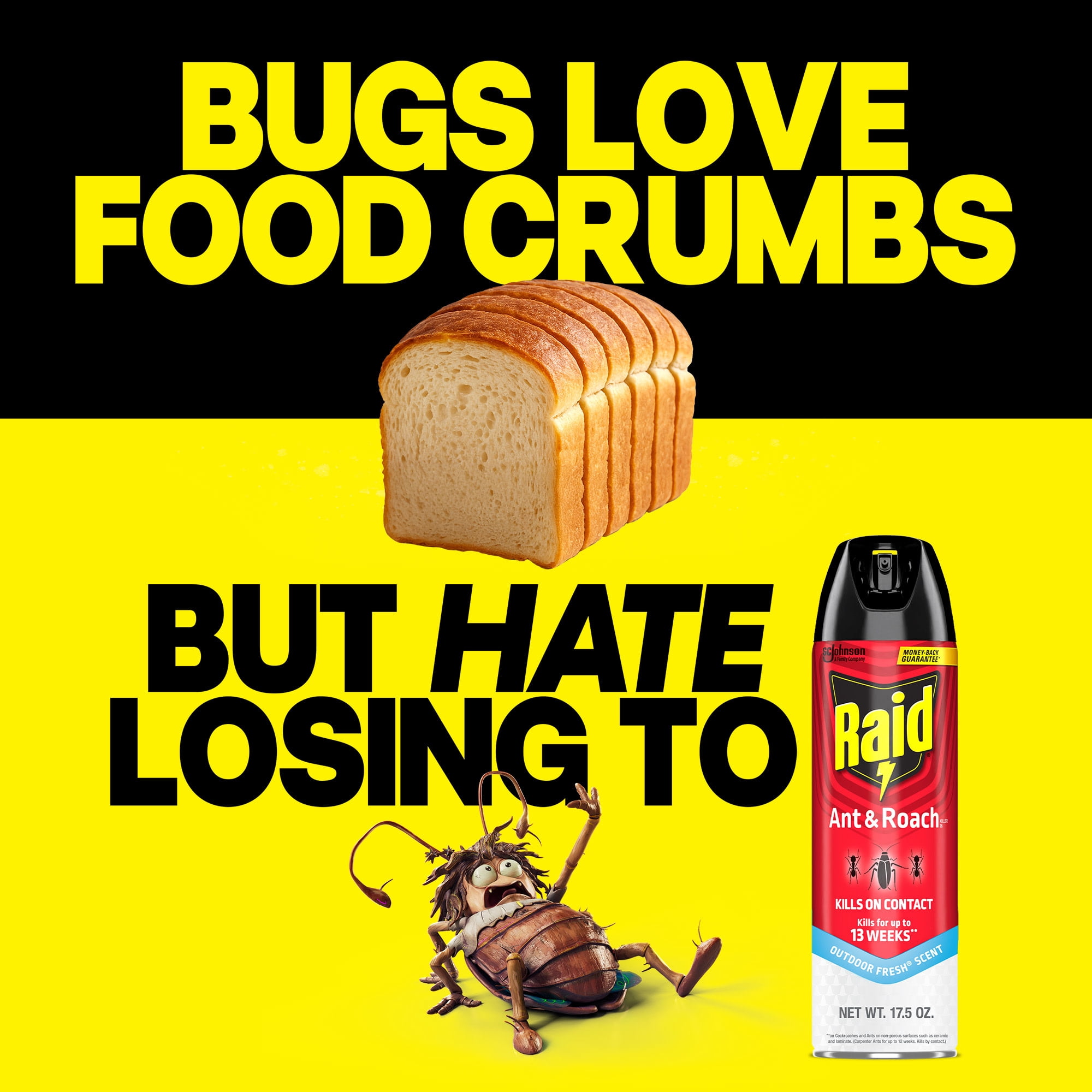 (6 pack) Raid Ant & Roach Insect Killer, Indoor Insecticide, Residual Killing Power, Outdoor Fresh Scent, 17.5 oz