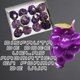 thumbnail image 1 of 12 velas aromaticas en forma de uva morada, 1 of 5